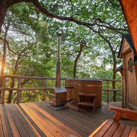 Chestnut Tree House With Hot Tub & Sauna Barmouth Eksteriør billede