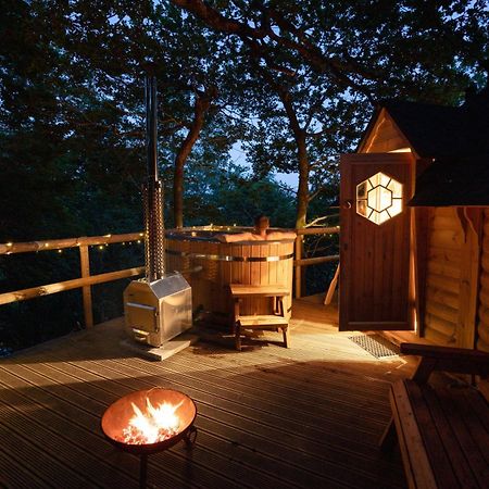Chestnut Tree House With Hot Tub & Sauna Barmouth Eksteriør billede
