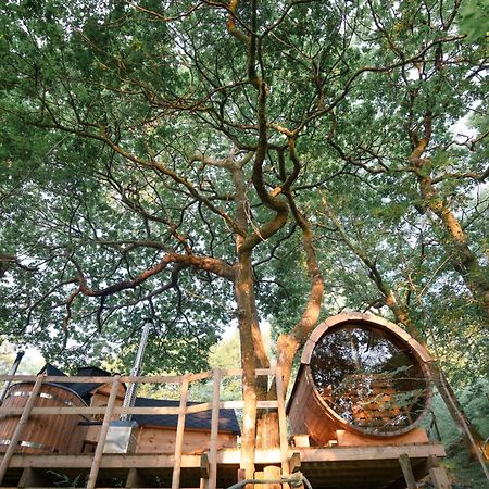 Chestnut Tree House With Hot Tub & Sauna Barmouth Eksteriør billede
