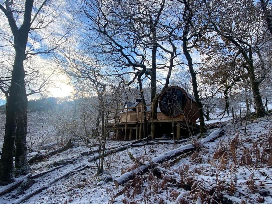 Chestnut Tree House With Hot Tub & Sauna Barmouth Eksteriør billede