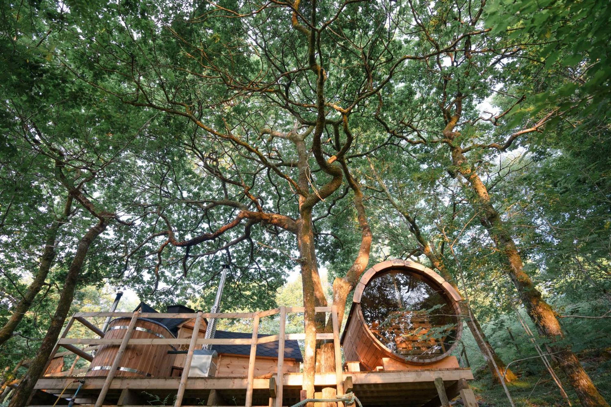 Chestnut Tree House With Hot Tub & Sauna Barmouth Eksteriør billede