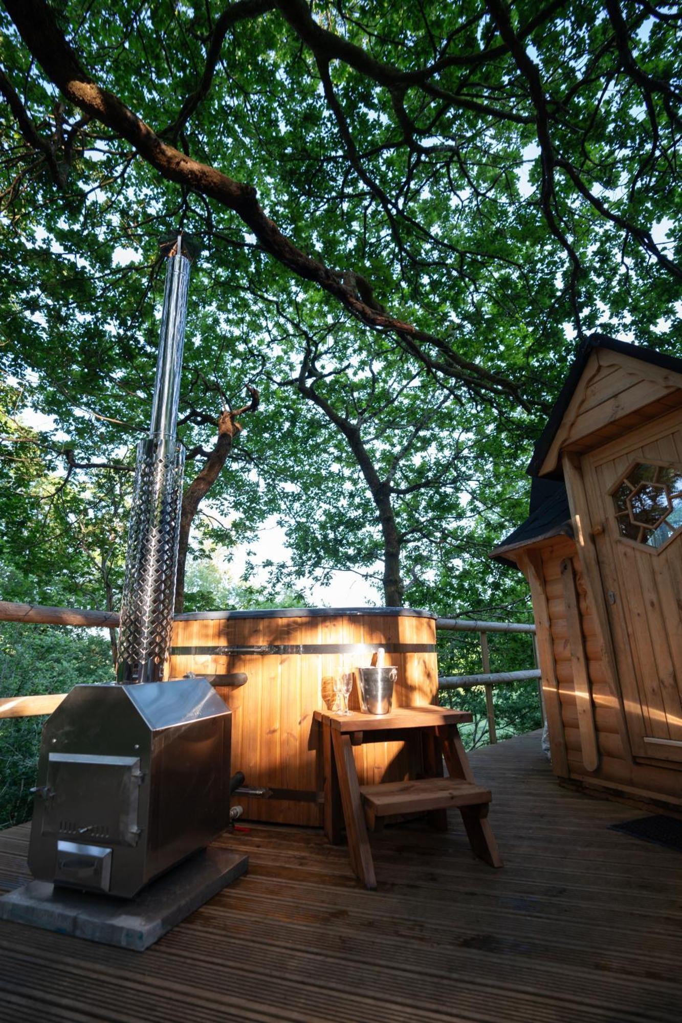 Chestnut Tree House With Hot Tub & Sauna Barmouth Eksteriør billede