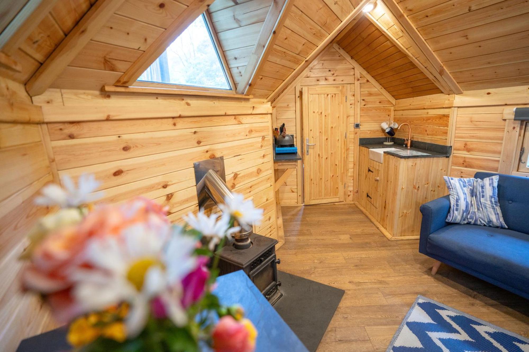 Chestnut Tree House With Hot Tub & Sauna Barmouth Eksteriør billede